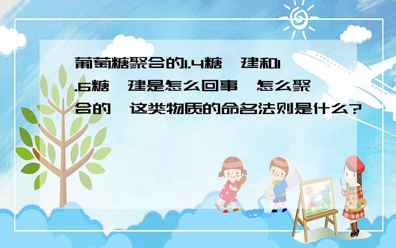 葡萄糖聚合的1.4糖苷建和1.6糖苷建是怎么回事,怎么聚合的,这类物质的命名法则是什么?