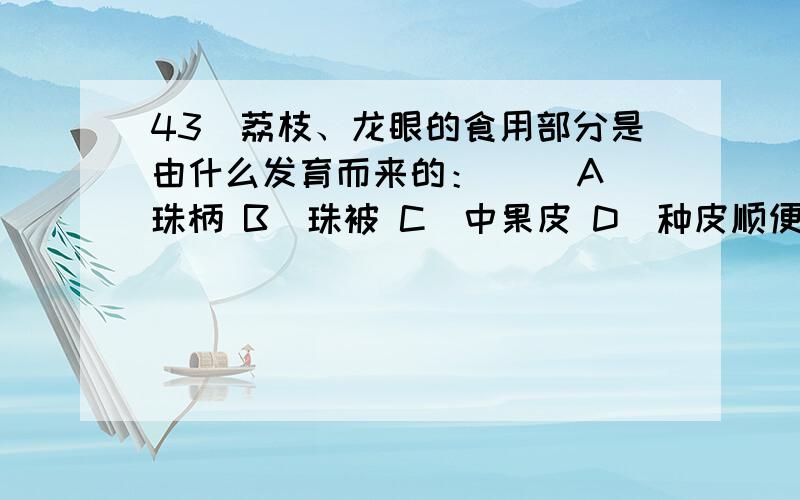 43．荔枝、龙眼的食用部分是由什么发育而来的：（ ）A．珠柄 B．珠被 C．中果皮 D．种皮顺便帮我 总结下我们现在常常食用的水果分别是由什么发育来的!