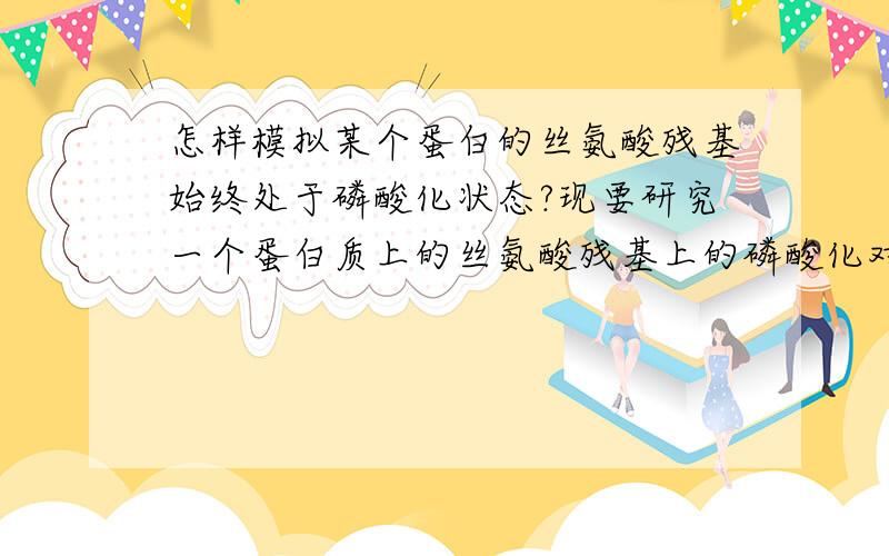 怎样模拟某个蛋白的丝氨酸残基始终处于磷酸化状态?现要研究一个蛋白质上的丝氨酸残基上的磷酸化对其功能的影响,欲模拟丝氨酸始终处于磷酸化状态,该进行怎样的突变?