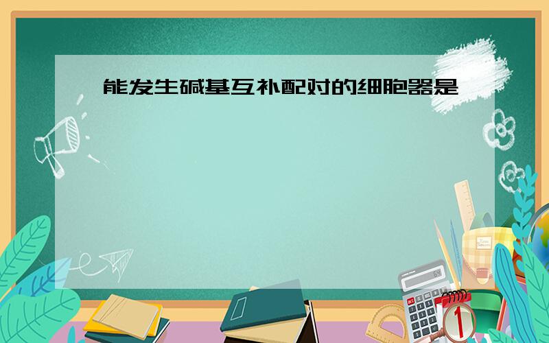 能发生碱基互补配对的细胞器是