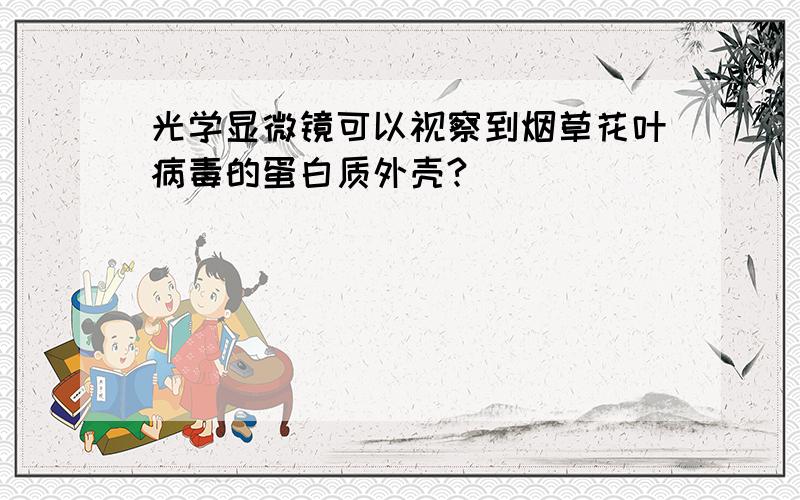 光学显微镜可以视察到烟草花叶病毒的蛋白质外壳?