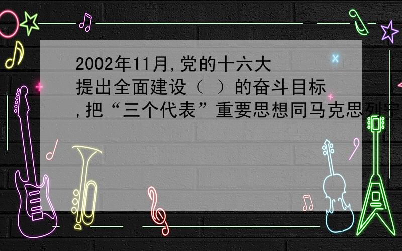 2002年11月,党的十六大提出全面建设（ ）的奋斗目标,把“三个代表”重要思想同马克思列宁主