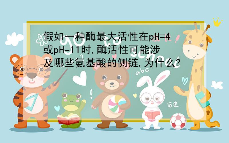 假如一种酶最大活性在pH=4或pH=11时,酶活性可能涉及哪些氨基酸的侧链,为什么?