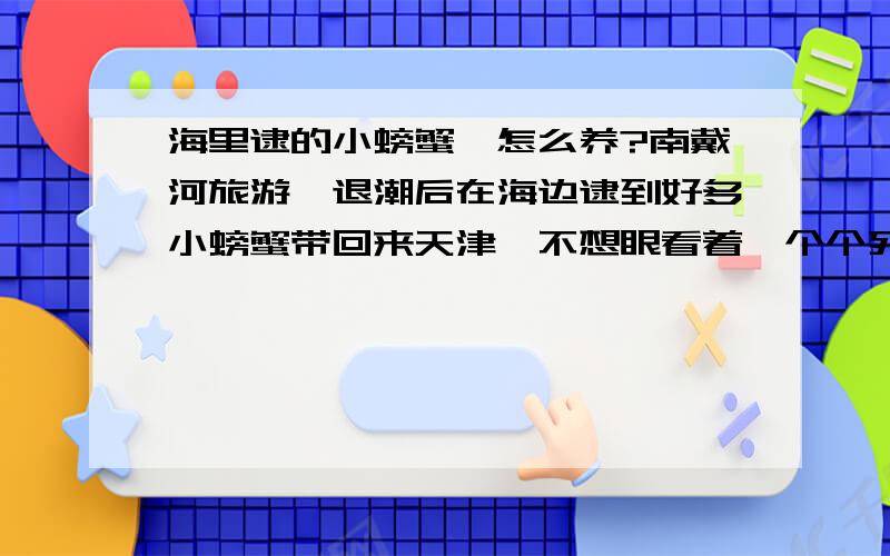 海里逮的小螃蟹,怎么养?南戴河旅游,退潮后在海边逮到好多小螃蟹带回来天津,不想眼看着一个个死翘翘,哪位明白人,告诉我该怎么尽可能的让它们多活几天,该怎么养啊?