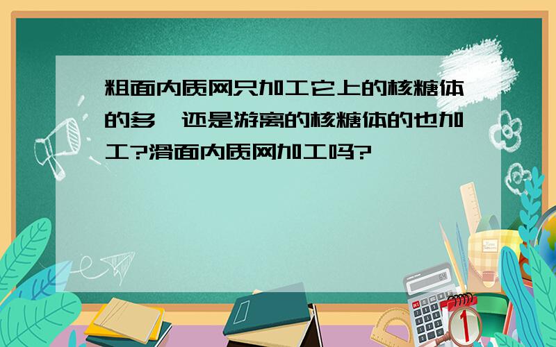 粗面内质网只加工它上的核糖体的多肽还是游离的核糖体的也加工?滑面内质网加工吗?