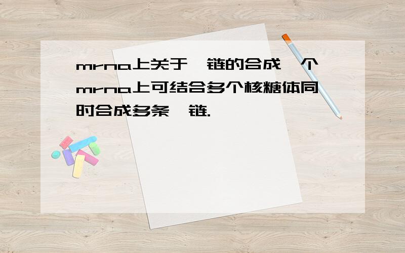 mrna上关于肽链的合成一个mrna上可结合多个核糖体同时合成多条肽链.