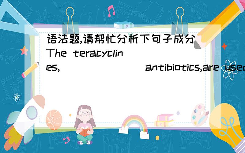 语法题,请帮忙分析下句子成分The teracyclines, _______antibiotics,are used to treat infections.A being a familyB a family of 选哪个为什么?