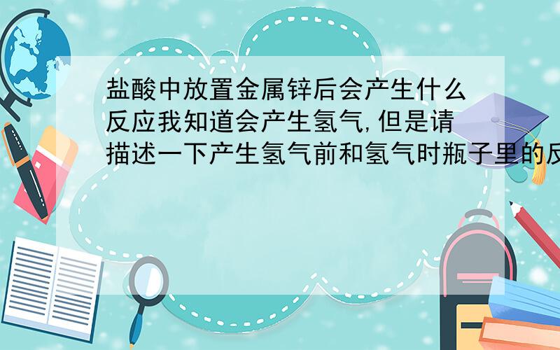 盐酸中放置金属锌后会产生什么反应我知道会产生氢气,但是请描述一下产生氢气前和氢气时瓶子里的反应