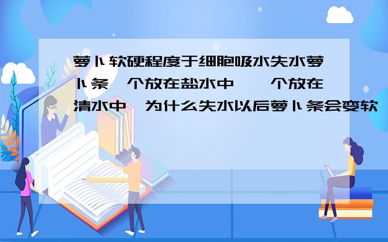 萝卜软硬程度于细胞吸水失水萝卜条一个放在盐水中,一个放在清水中,为什么失水以后萝卜条会变软,吸水以后会变硬?