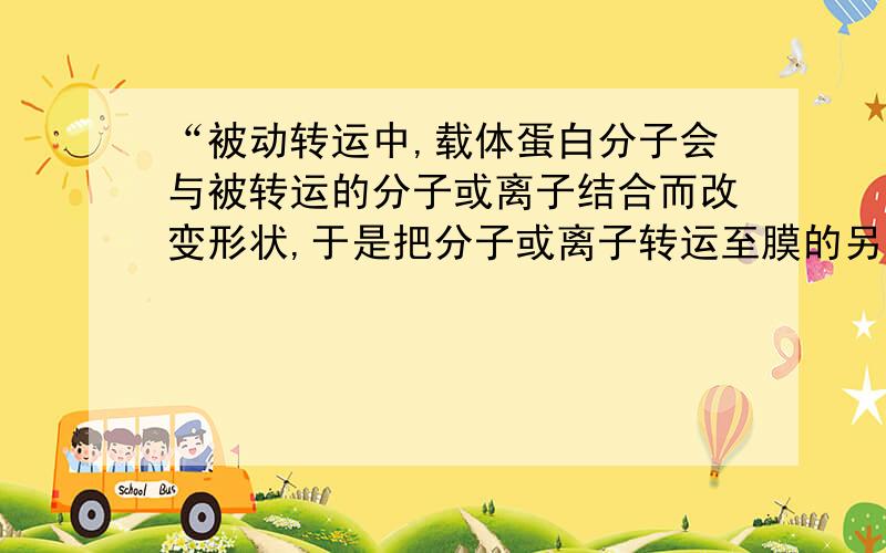 “被动转运中,载体蛋白分子会与被转运的分子或离子结合而改变形状,于是把分子或离子转运至膜的另一侧.”“主动转运必须有载体蛋白参与.载体蛋白与被转运的离子的离子结合后,其形状