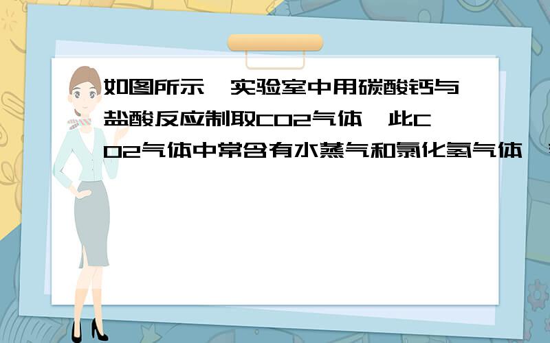 如图所示,实验室中用碳酸钙与盐酸反应制取CO2气体,此CO2气体中常含有水蒸气和氯化氢气体,若要出去这两种气体杂质,可将生成的气体通过甲乙两个洗气瓶,通过导管的正确顺序是 A1234 B3421 C 21