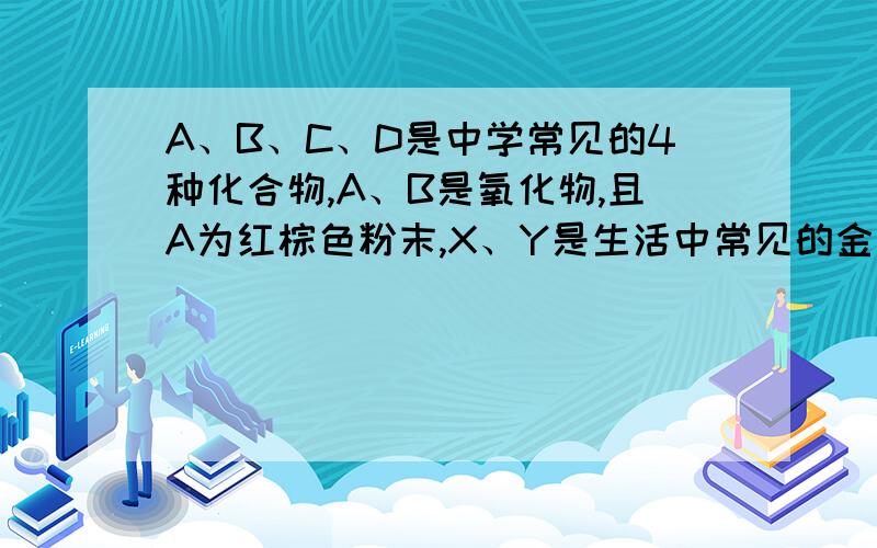 A、B、C、D是中学常见的4种化合物,A、B是氧化物,且A为红棕色粉末,X、Y是生活中常见的金属单质,相关物质间的关系如图所示.反应①~⑤中属于置换反应的有_____个