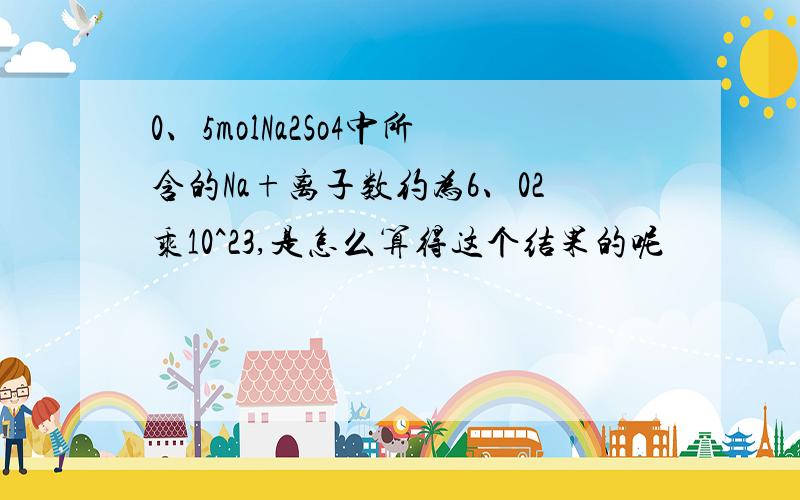 0、5molNa2So4中所含的Na+离子数约为6、02乘10^23,是怎么算得这个结果的呢