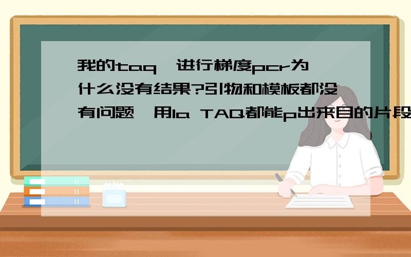 我的taq酶进行梯度pcr为什么没有结果?引物和模板都没有问题,用la TAQ都能p出来目的片段由于要进行菌落pcr,la taq太贵了,所以需要使用普通taq进行.同一批次的引物在两个月之前还可以p出目的片