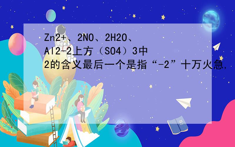 Zn2+、2NO、2H2O、Al2-2上方（SO4）3中2的含义最后一个是指“-2”十万火急,