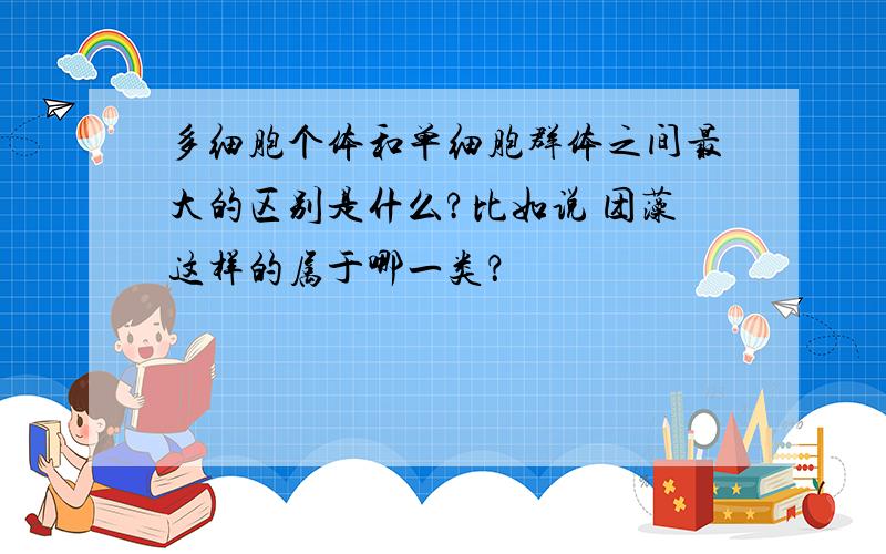 多细胞个体和单细胞群体之间最大的区别是什么?比如说 团藻这样的属于哪一类？