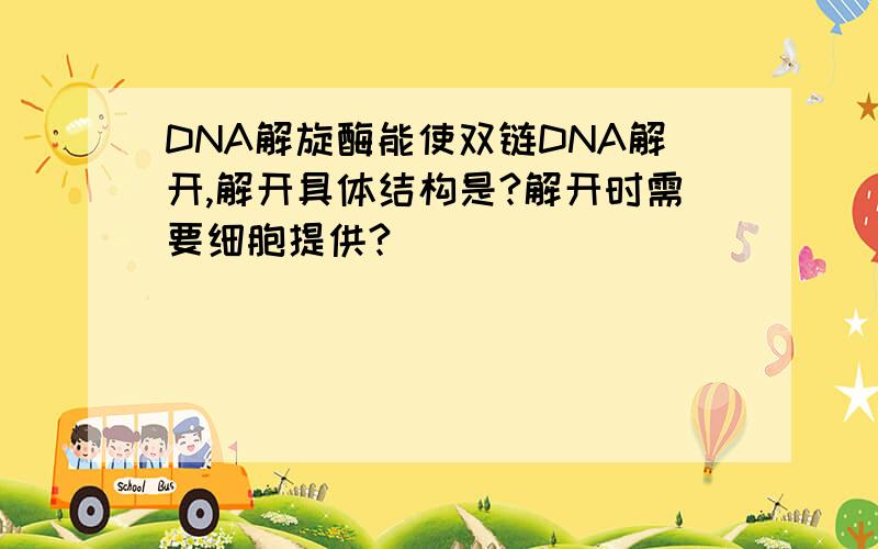 DNA解旋酶能使双链DNA解开,解开具体结构是?解开时需要细胞提供?