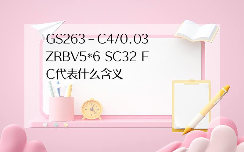 GS263-C4/0.03 ZRBV5*6 SC32 FC代表什么含义