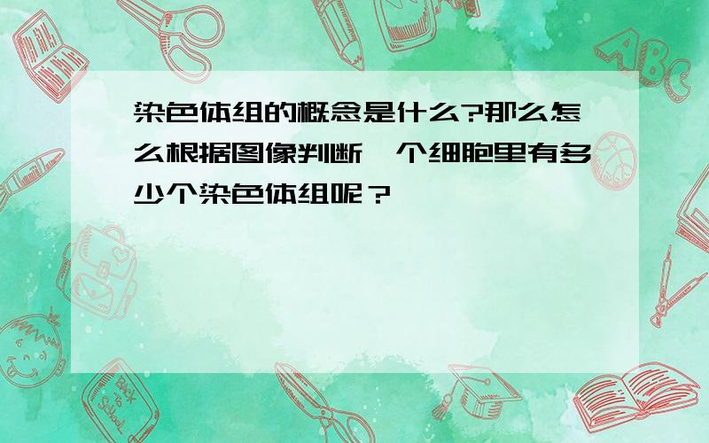 染色体组的概念是什么?那么怎么根据图像判断一个细胞里有多少个染色体组呢？