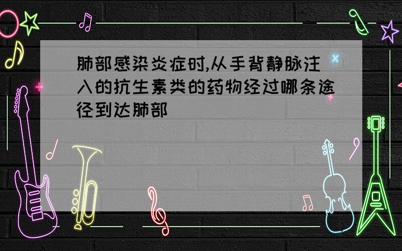 肺部感染炎症时,从手背静脉注入的抗生素类的药物经过哪条途径到达肺部