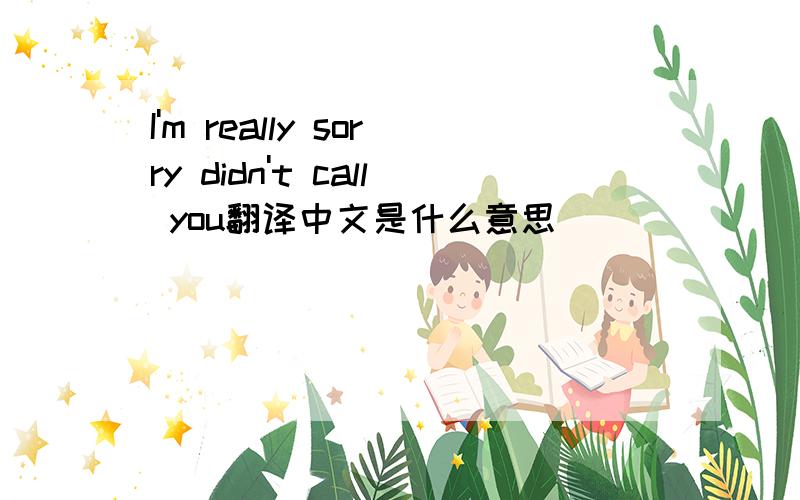 I'm really sorry didn't call you翻译中文是什么意思