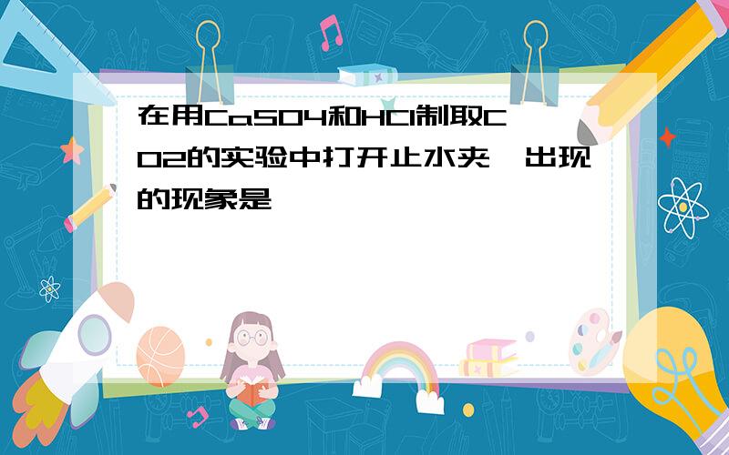 在用CaSO4和HCl制取CO2的实验中打开止水夹,出现的现象是