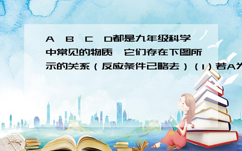 A、B、C、D都是九年级科学中常见的物质,它们存在下图所示的关系（反应条件已略去）（1）若A为常见金属,C为气体单质,B的化学式为______,D的物质类别是_______（选填“酸”、“碱”、“盐”