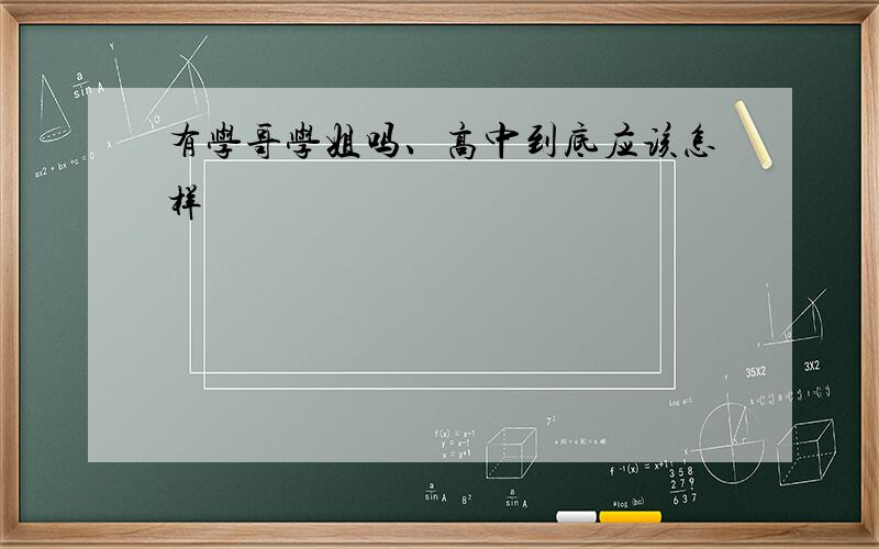 有学哥学姐吗、高中到底应该怎样