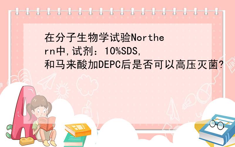 在分子生物学试验Northern中,试剂：10%SDS,和马来酸加DEPC后是否可以高压灭菌?