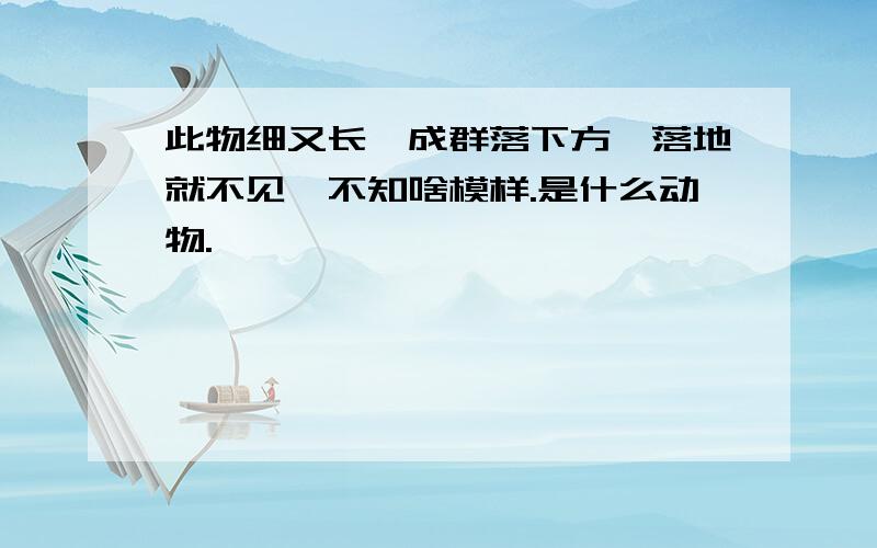 此物细又长,成群落下方,落地就不见,不知啥模样.是什么动物.