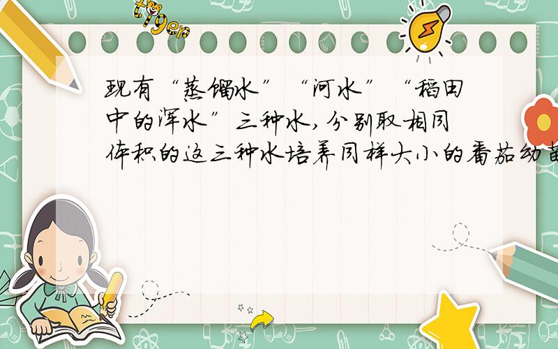 现有“蒸馏水”“河水”“稻田中的浑水”三种水,分别取相同体积的这三种水培养同样大小的番茄幼苗（其他条件相同,在培养过程中再补充水分,每次取得量相同）.一个月后,幼苗的发育情