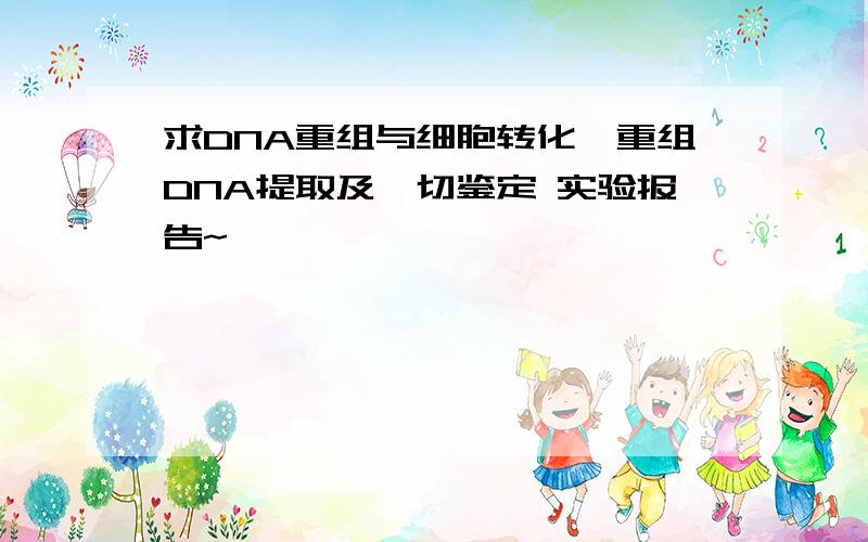 求DNA重组与细胞转化,重组DNA提取及酶切鉴定 实验报告~