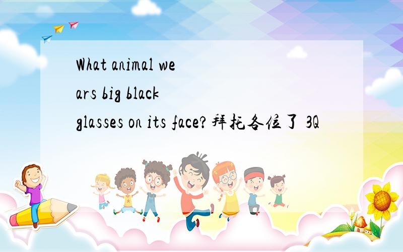 What animal wears big black glasses on its face?拜托各位了 3Q