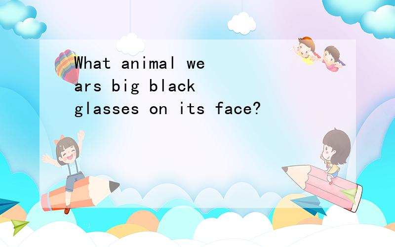 What animal wears big black glasses on its face?