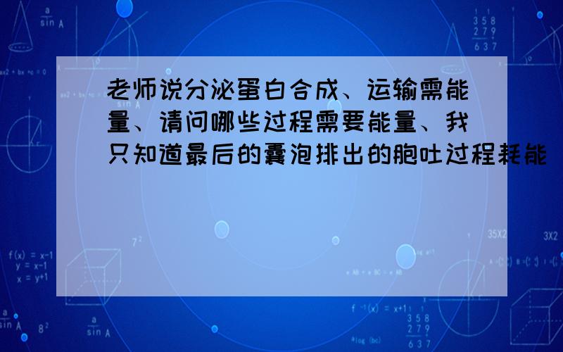 老师说分泌蛋白合成、运输需能量、请问哪些过程需要能量、我只知道最后的囊泡排出的胞吐过程耗能