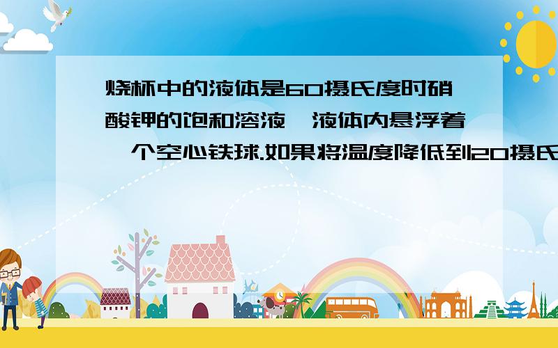 烧杯中的液体是60摄氏度时硝酸钾的饱和溶液,液体内悬浮着一个空心铁球.如果将温度降低到20摄氏度能够观察到什么现象?为什么?