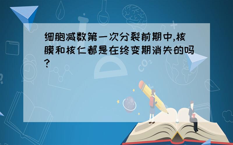 细胞减数第一次分裂前期中,核膜和核仁都是在终变期消失的吗?