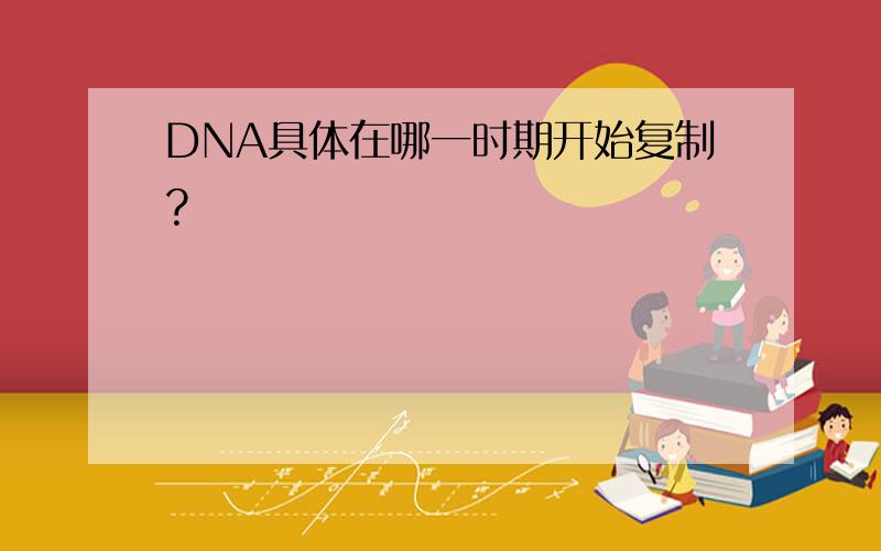 DNA具体在哪一时期开始复制?