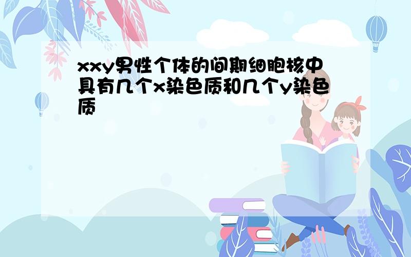 xxy男性个体的间期细胞核中具有几个x染色质和几个y染色质