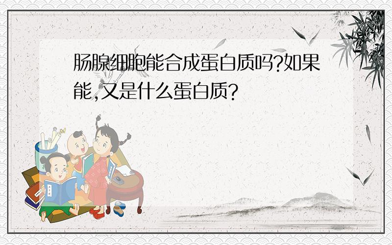 肠腺细胞能合成蛋白质吗?如果能,又是什么蛋白质?