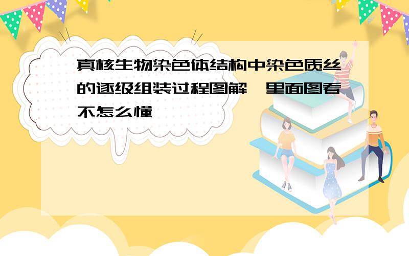 真核生物染色体结构中染色质丝的逐级组装过程图解,里面图看不怎么懂,