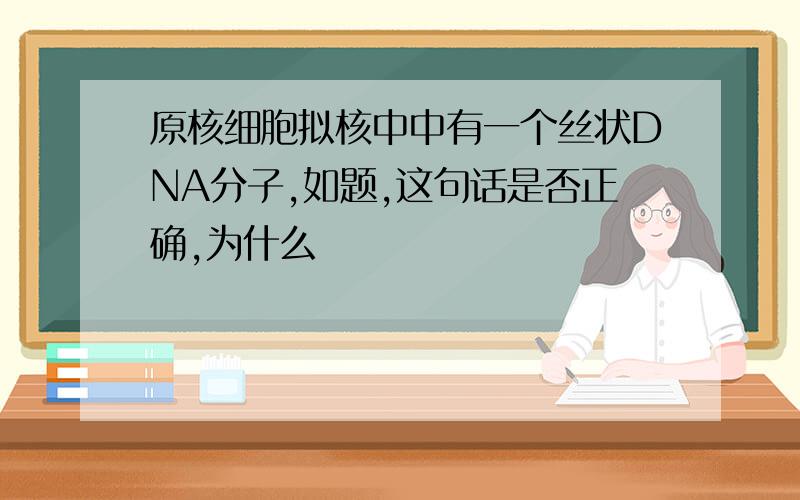 原核细胞拟核中中有一个丝状DNA分子,如题,这句话是否正确,为什么