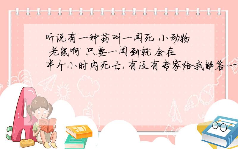 听说有一种药叫一闻死 小动物 老鼠啊 只要一闻到就 会在半个小时内死亡,有没有专家给我解答一下 要是人闻到了 希望说的全一点