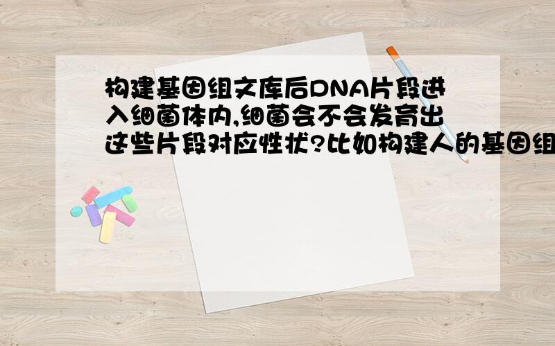 构建基因组文库后DNA片段进入细菌体内,细菌会不会发育出这些片段对应性状?比如构建人的基因组文库