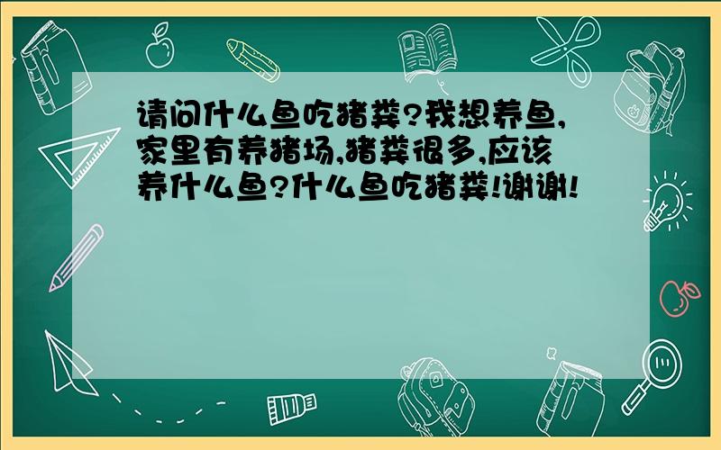 请问什么鱼吃猪粪?我想养鱼,家里有养猪场,猪粪很多,应该养什么鱼?什么鱼吃猪粪!谢谢!