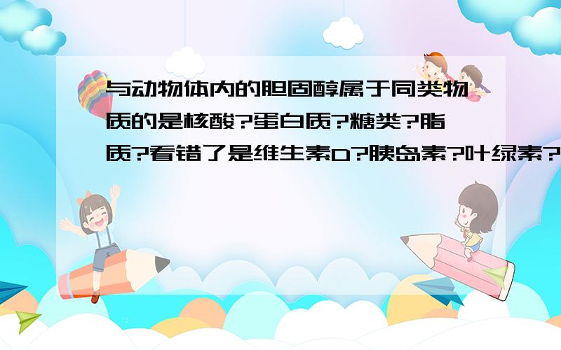 与动物体内的胆固醇属于同类物质的是核酸?蛋白质?糖类?脂质?看错了是维生素D?胰岛素?叶绿素?纤维素?