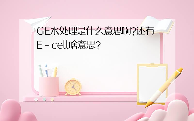 GE水处理是什么意思啊?还有E-cell啥意思?