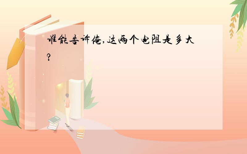 谁能告诉俺,这两个电阻是多大?