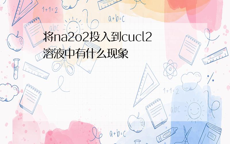 将na2o2投入到cucl2溶液中有什么现象