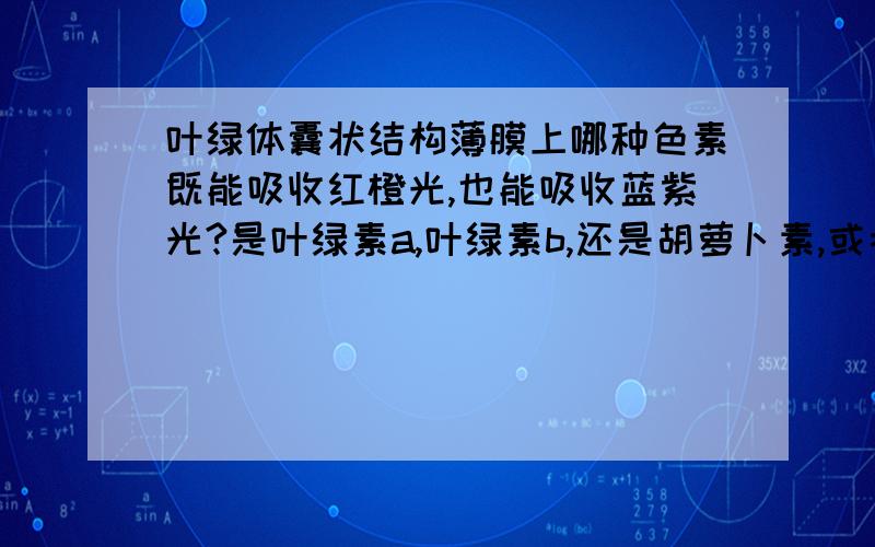 叶绿体囊状结构薄膜上哪种色素既能吸收红橙光,也能吸收蓝紫光?是叶绿素a,叶绿素b,还是胡萝卜素,或者叶黄素?四选一